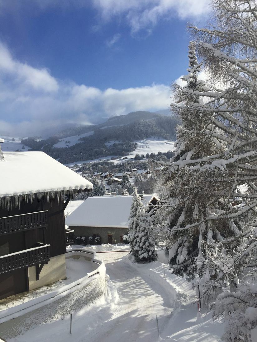 Vue depuis le balcon